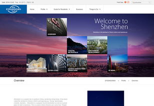沙漠風網站建設公司成功案例 深圳市英文網官方網站設計制作